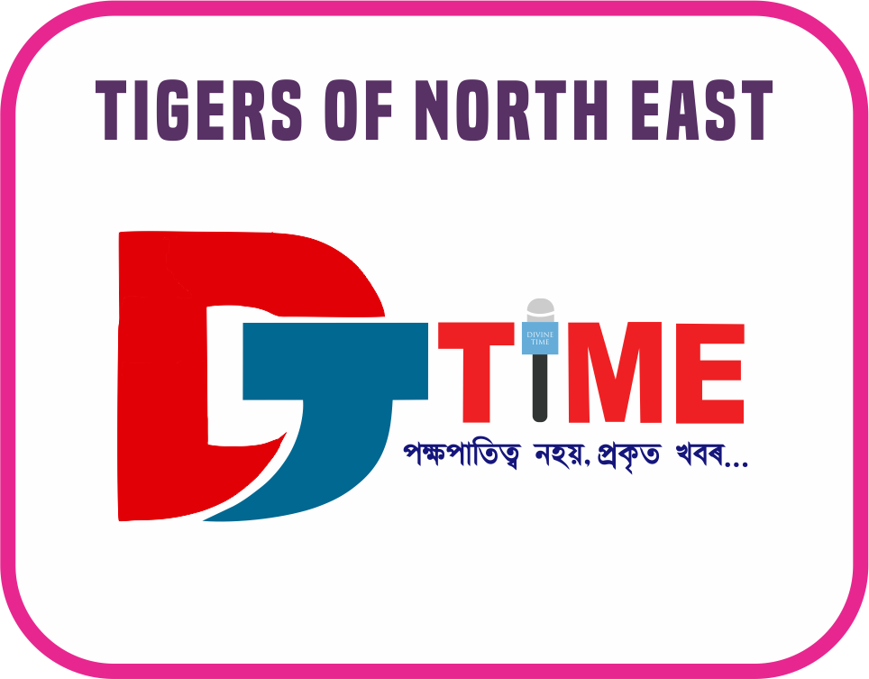 DTIME TIGERS OF NORTH EAST